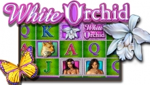 White Orchid Spielautomat