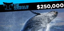The Whale bei 888 Poker