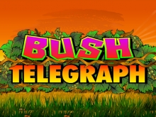 Bush Telegraph Spielautomat