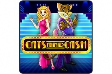 Cats and Cash Spielautomat