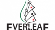 Das Everleaf Netzwerk verliert die Lizenz