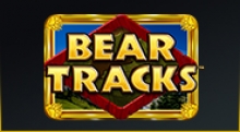 Bear Tracks Spielautomat